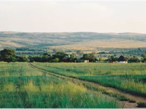 12 ha Farm in Buffelspoort
