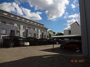 1 Bed Apartment in Arcadia