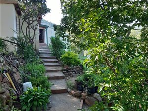 8 ha Farm in Greytown