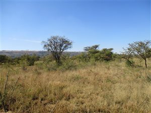 25.2 ha Farm in Boshof