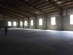 1000 m² Industrial space in Sea View