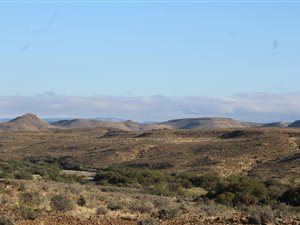 5614 ha Farm in Merweville