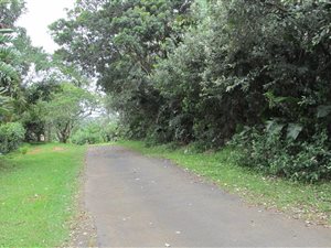 1467 m² Land available in Trafalgar
