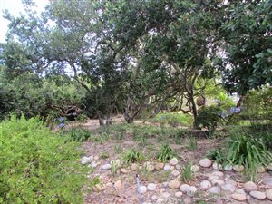 1033 m² Land available in Sedgefield