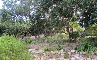 1033 m² Land available in Sedgefield