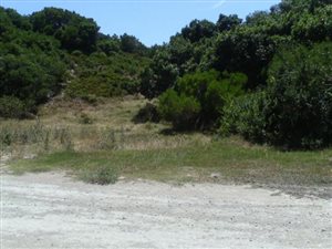 700 m² Land available in Paradise Beach