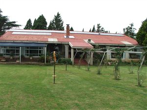 20 ha Farm in Estcourt