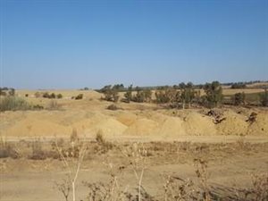 8.5 ha Land available in Diepsloot