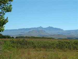 3310 m² Land available in Underberg