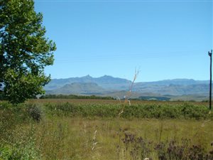 3310 m² Land available in Underberg