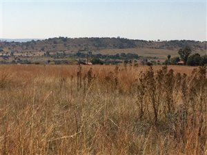 40 ha Land available in Tierpoort