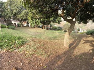625 m² Land available in Sea Cow Lake