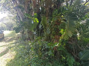 1138 m² Land available in Leisure Bay