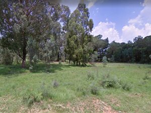 6 ha Farm in Valley Settlements AH