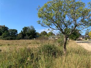 1132 m² Land available in Stutterheim
