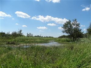 401 ha Farm in Alma