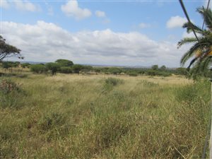 22.3 ha Farm in Dendron