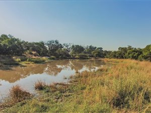 202 ha Farm in Hoedspruit
