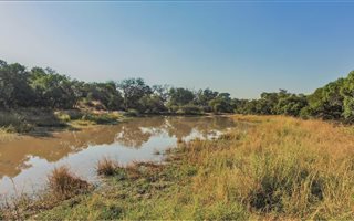202 ha Farm in Hoedspruit
