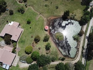 3.5 ha Farm in Rheenendal