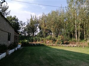 5 ha Farm in Sasolburg