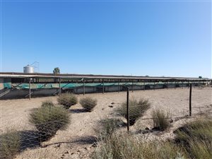 19 ha Farm in Hopefield
