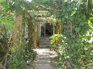 3 Bed House in Vandia Grove