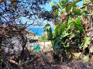 1013 m² Land available in Tinley Manor Beach