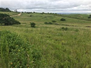 1194 m² Land available in Seaton Estate