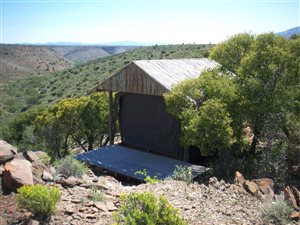 70 ha Farm in Ladismith