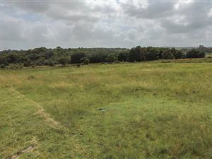 9.8 ha Land available in Klipkop