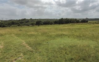9.8 ha Land available in Klipkop
