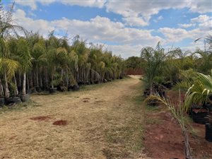 2.1 ha Land available in Montana