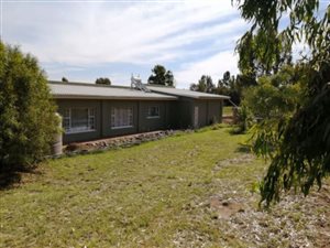 2.2 ha Farm in Kameeldrift West