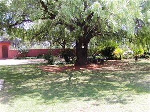 4 Bed House in Randfontein
