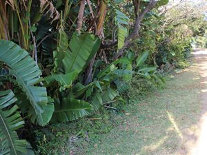 1351 m² Land available in Palm Beach