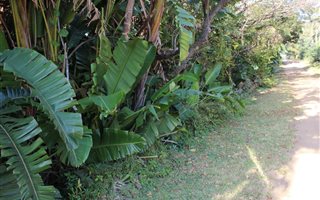 1351 m² Land available in Palm Beach