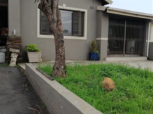 3 Bedroom House in Sydenham