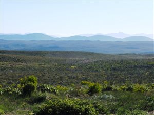 484 ha Farm in Gouritsmond
