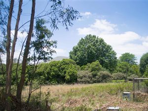 1223 m² Land available in Underberg