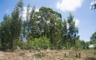 1223 m² Land available in Underberg