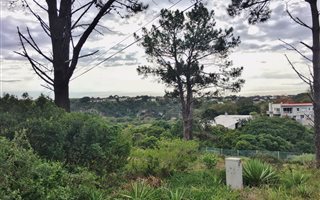 1200 m² Land available in Walmer
