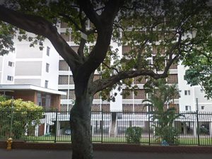 1 Bed Apartment in Essenwood