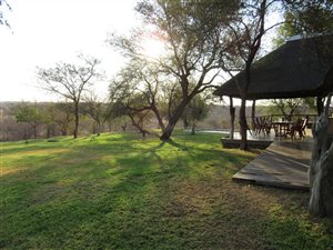21 ha Farm in Hoedspruit
