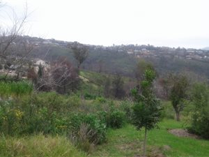 1062 m² Land available in Eastford Glen