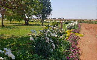 61.1 ha Farm in Brits
