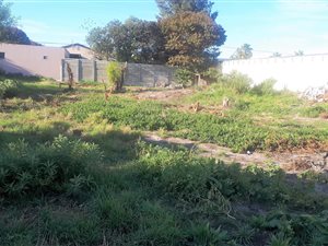 1041 m² Land available in Zeekoevlei