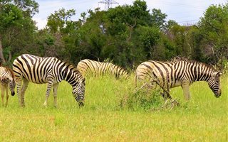 22 m² Land available in Dinokeng
