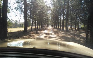 1 ha Farm in Doringkloof