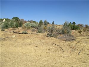1423 m² Land available in Roodeplaat